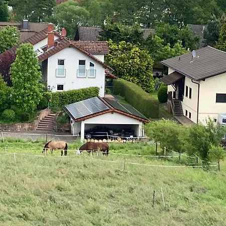 Auf Der Hoehe * Erbach (Odenwaldkreis)